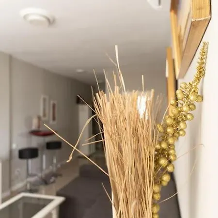 Casa Chari Cádiz